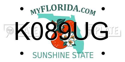 K089UG Florida License Plate