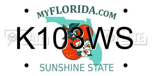 K103WS Florida License Plate