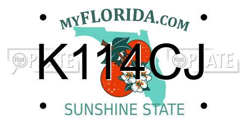 K114CJ Florida License Plate