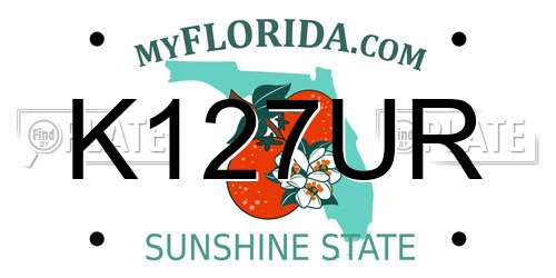 K127UR Florida License Plate