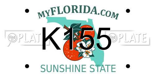 K155 Florida License Plate