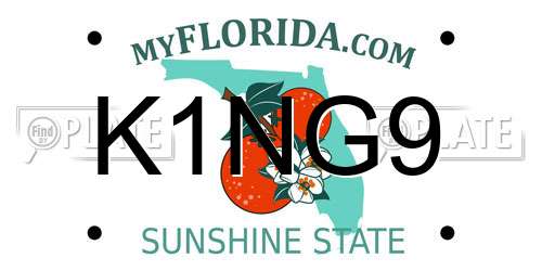 K1NG9 Florida License Plate