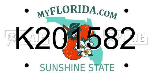 K201582 Florida License Plate
