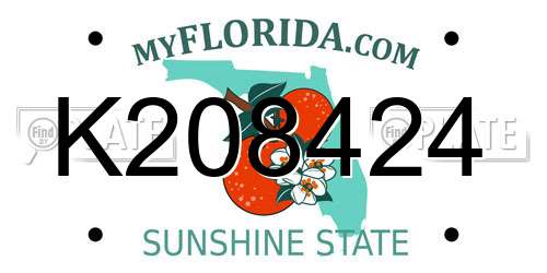 K208424 Florida License Plate