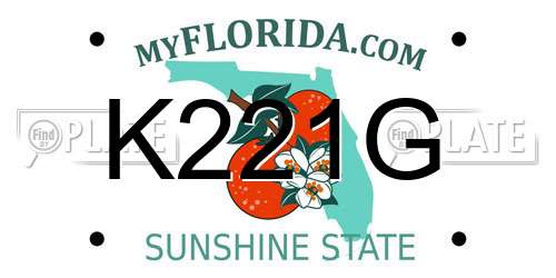 K221G Florida License Plate