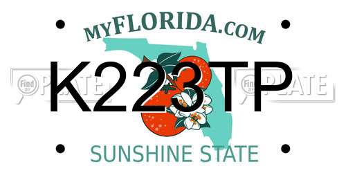 K223TP Florida License Plate