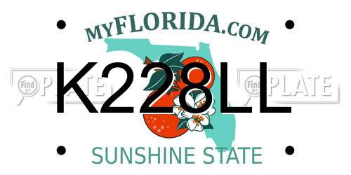 K228LL Florida License Plate