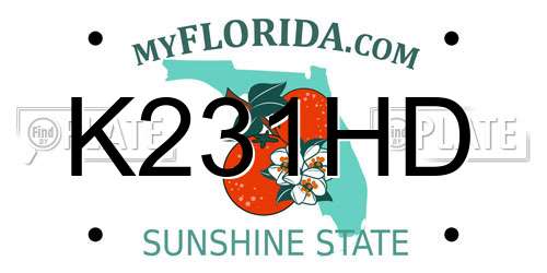 K231HD Florida License Plate