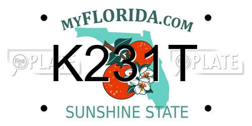 K231T Florida License Plate