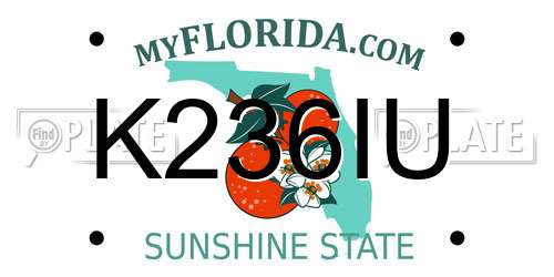 K236IU Florida License Plate