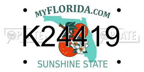 K24419 Florida License Plate