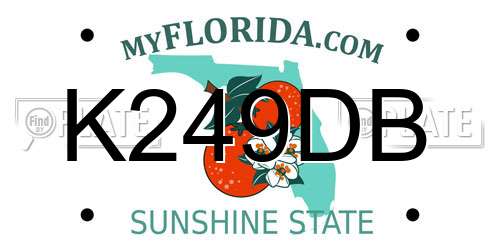 K249DB Florida License Plate