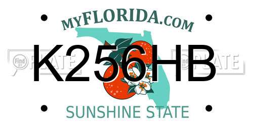 K256HB Florida License Plate