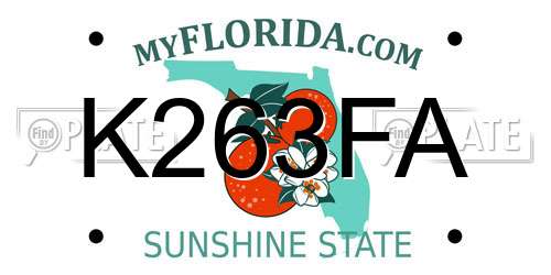 K263FA Florida License Plate