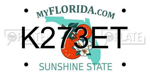 K273ET Florida License Plate