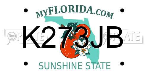 K273JB Florida License Plate