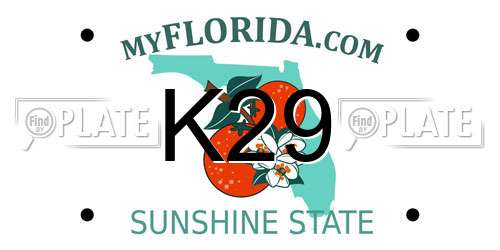K29 Florida License Plate