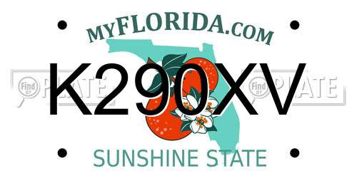 K290XV Florida License Plate
