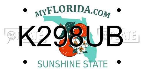 K298UB Florida License Plate