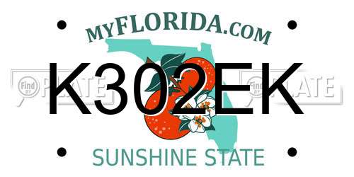 K302EK Florida License Plate