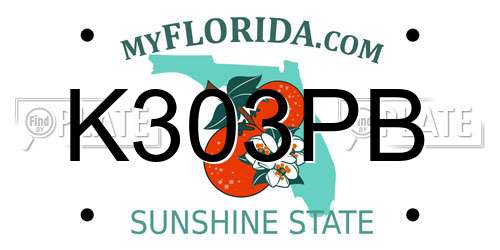 K303PB Florida License Plate