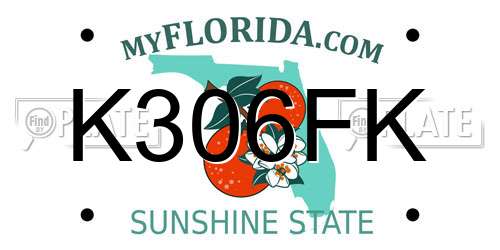 K306FK Florida License Plate