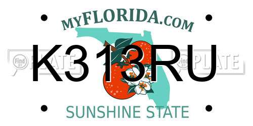 K313RU Florida License Plate