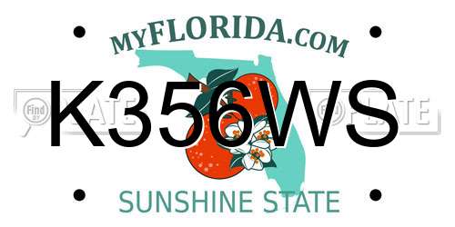 K356WS Florida License Plate