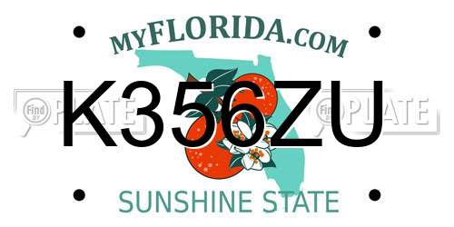 K356ZU Florida License Plate