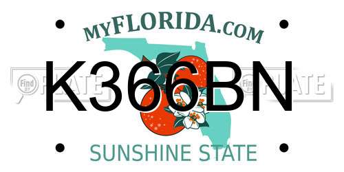 K366BN Florida License Plate