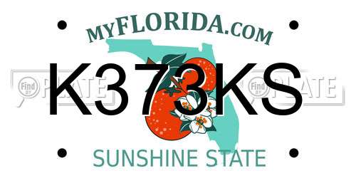 K373KS Florida License Plate