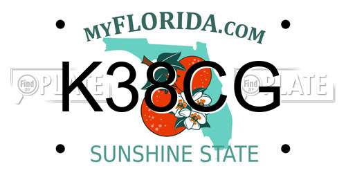 K38CG Florida License Plate