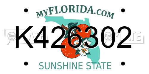 K426302 Florida License Plate