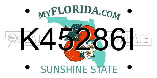 K45286I Florida License Plate