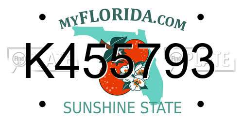 K455793 Florida License Plate