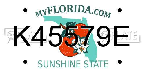 K45579E Florida License Plate