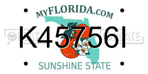 K45756I Florida License Plate