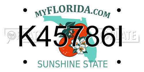 K45786I Florida License Plate