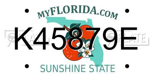 K45879E Florida License Plate