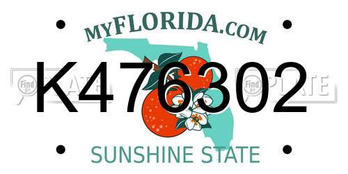 K476302 Florida License Plate
