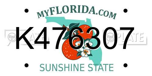 K476307 Florida License Plate