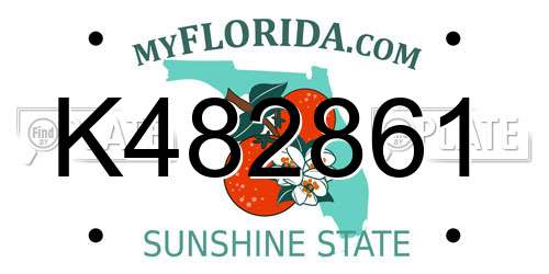 K482861 Florida License Plate
