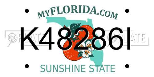 K48286I Florida License Plate