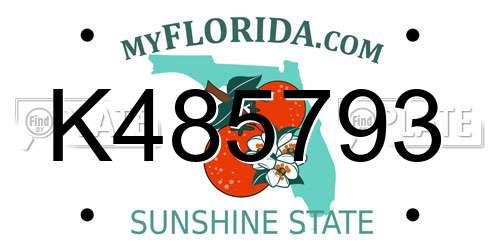 K485793 Florida License Plate