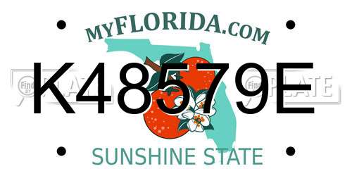 K48579E Florida License Plate