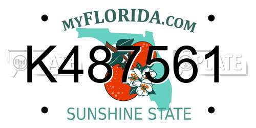 K487561 Florida License Plate