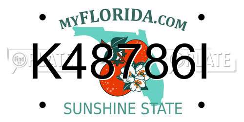 K48786I Florida License Plate