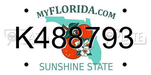 K488793 Florida License Plate