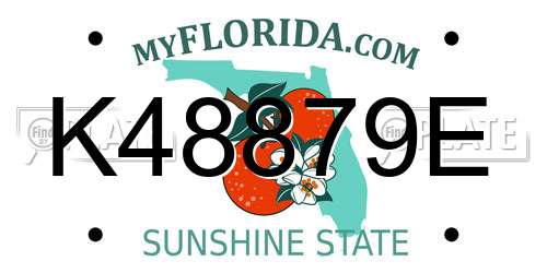 K48879E Florida License Plate