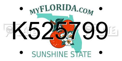 K525799 Florida License Plate